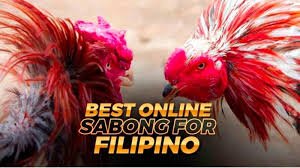 Sabong Explained: Culture, Rules, Legal Gray Areas, and What People Don’t Tell You